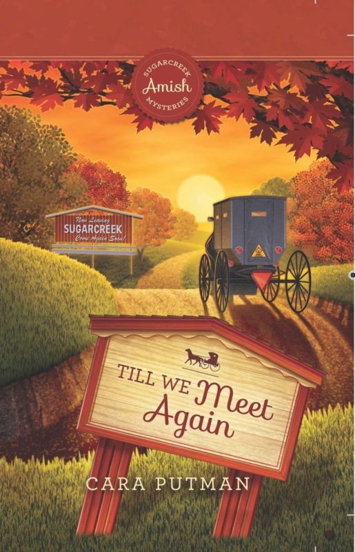 Till We Meet Again (SAM #30)